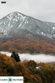 can i live in an abandoned house