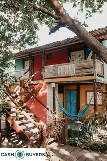 termite damage in house