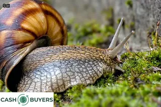 water seeping through