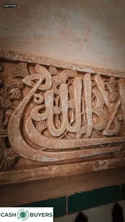 termites in house treatment