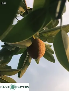 medical liens on property