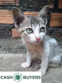 medical lien on property