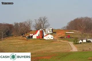 what is a squatter tenant