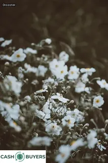 fire victims assistance