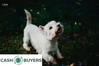 what has to be disclosed when selling a house